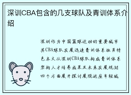 深训CBA包含的几支球队及青训体系介绍